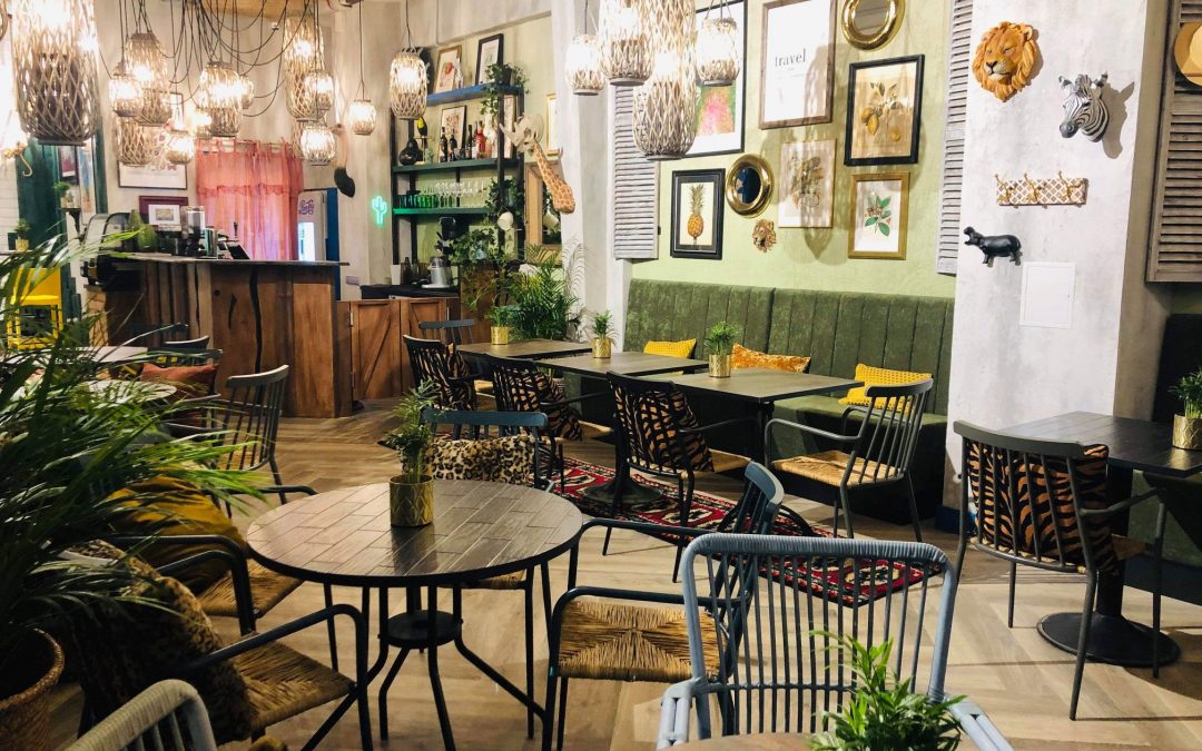 Picerijos Zoopark įrengimas