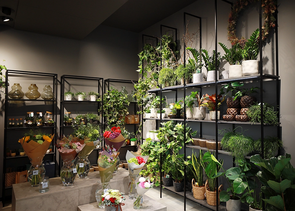 Parduotuvės apšvietimo įrengimas